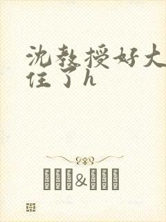 沈教授好大含不住了h