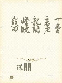 巅峰龙主丁长顺田晓兰免费阅读