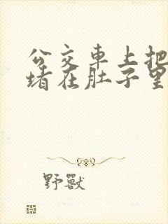 公交车上把米青堵在肚子里