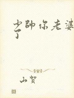 少帅你老婆又跑了