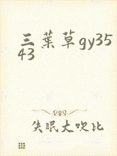 三叶草gy3543