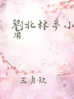 刘北林梦小说主角