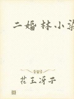 二婚 林小染