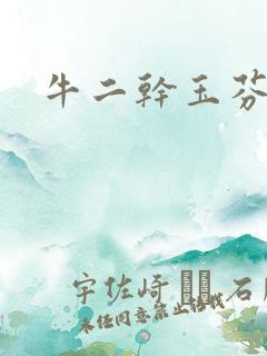 牛二干玉芬几回