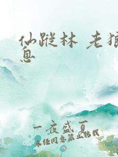 仙踪林 老狼信息
