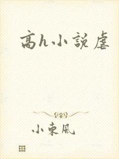 高h小说虐