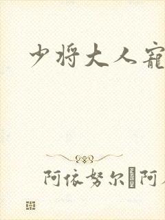 少将大人宠宠我