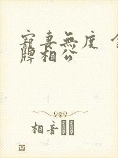 宠妻无度  金牌相公