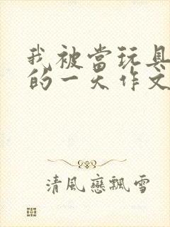 我被当玩具发泄的一天作文