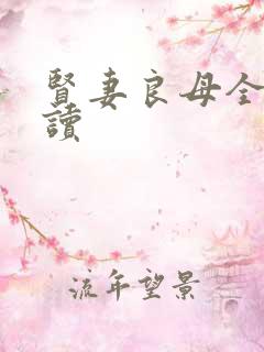 贤妻良母全文阅读