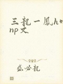 三龙一凤h啪肉np文