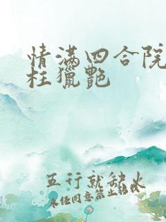 情满四合院之傻柱猎艳