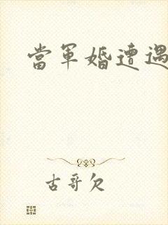 当军婚遭遇爱情