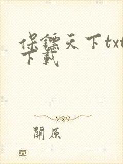 保镖天下txt下载