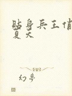 贴身兵王俏总裁夏天