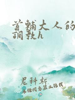 首辅大人的花式调教h