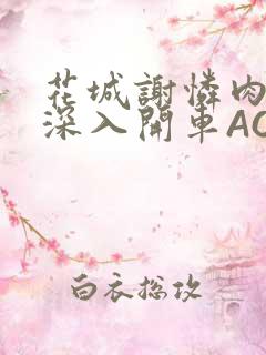 花城谢怜肉车长深入开车AO3