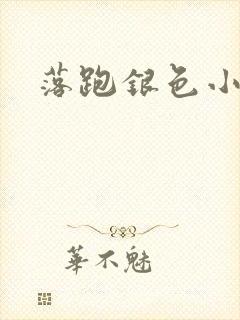 落跑银色小行星