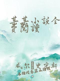 某某小说全文免费阅读