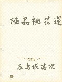 极品桃花运下载