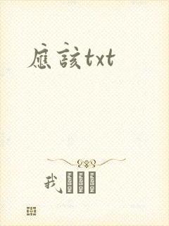应该txt