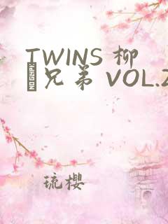 TWINS 柳澤兄弟 VOL.2