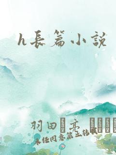 h长篇小说