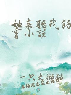 她来听我的演唱会小说