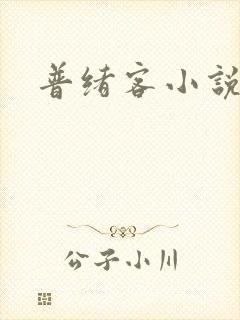 普绪客小说