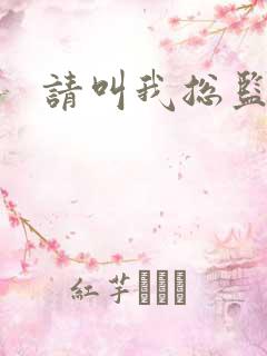 请叫我总监小说