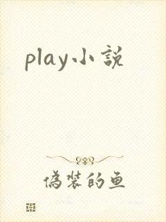 play小说