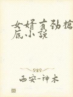 女婿有劲枪枪到底小说