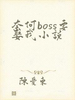 奈何boss要娶我小说
