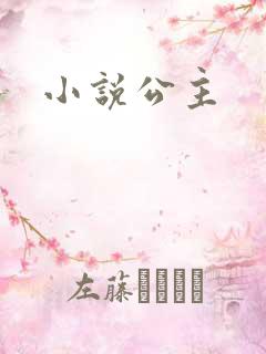 小说公主