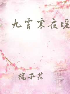 九霄寒夜暖小说