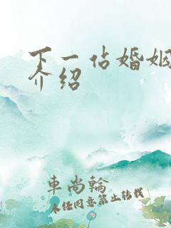 下一站婚姻剧情介绍