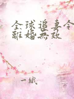 全球追妻令老婆离婚无效