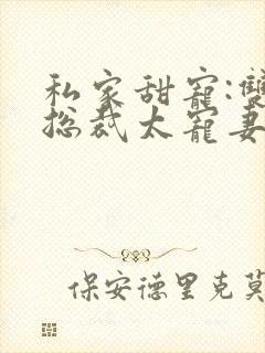 私家甜宠:双面总裁太宠妻