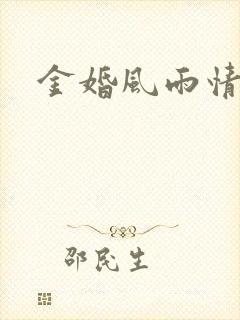 金婚风雨情下载