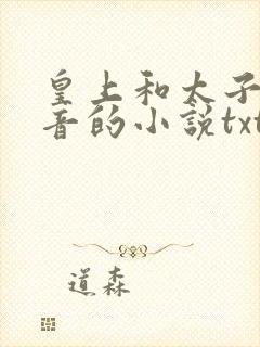 皇上和太子妃沈音的小说txt