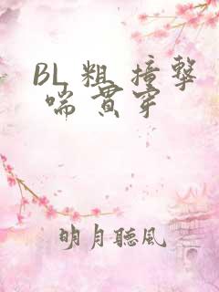 BL 粗 撞击 喘 贯穿