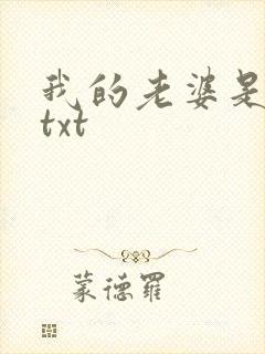 我的老婆是上司txt