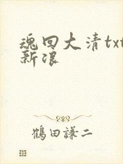 魂回大清txt新浪