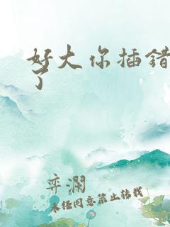 好大你插错地方了