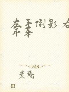 左手倒影 右手年华