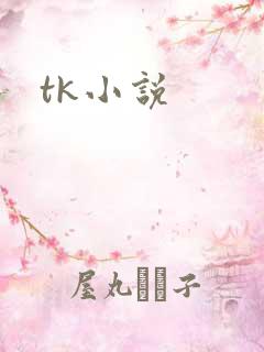 tk小说