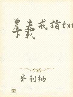 农夫戒指txt下载