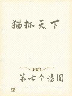 猫抓天下