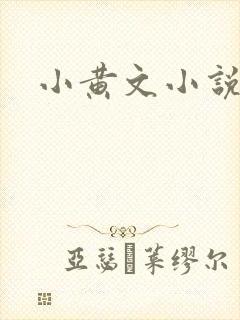 小黄文小说