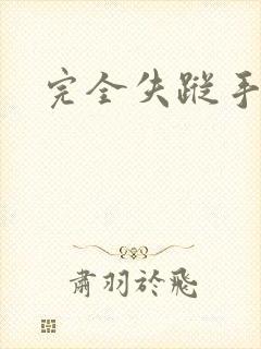 完全失踪手册